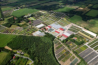 nursery Heinje overview of our production area